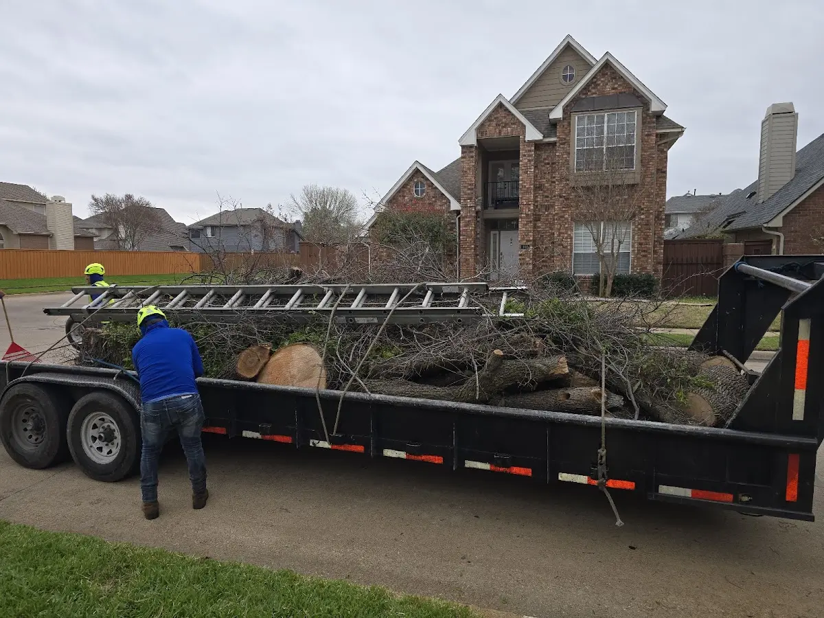 Expert Tree Fertilization with proper safety equipment in Hawley